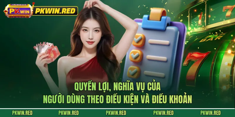 Quyền lợi, nghĩa vụ của người dùng theo điều kiện và điều khoản