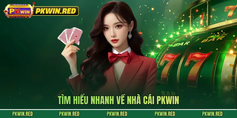 tim-hieu-nhanh-ve-nha-cai-pkwin