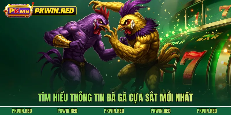 Đá Gà Cựa Sắt - Trải Nghiệm Chọi Kê Tốc Độ Siêu Kịch Tính